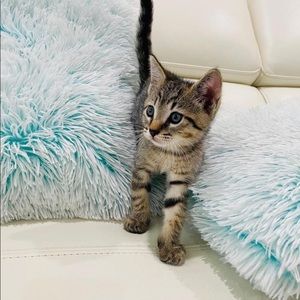 Meet your Posher, Vanessa